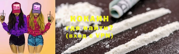 стафф Корсаков
