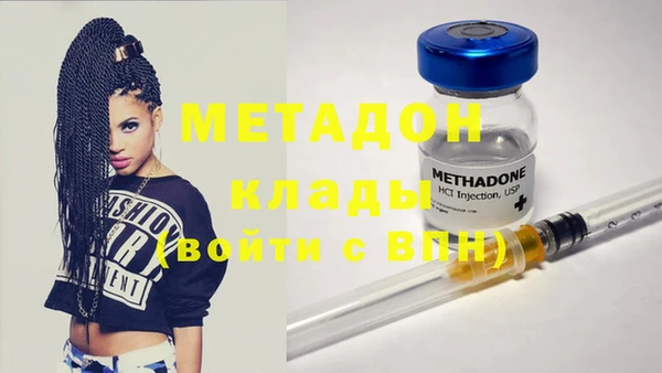 стафф Корсаков
