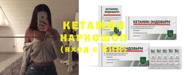 стафф Корсаков
