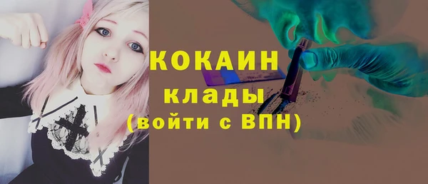 стафф Корсаков