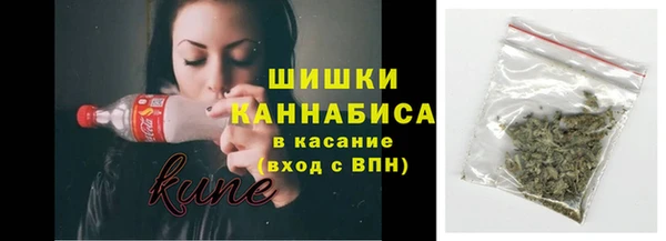 стафф Корсаков