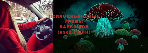 стафф Корсаков